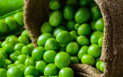 Green Pea