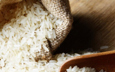 Polished Rice